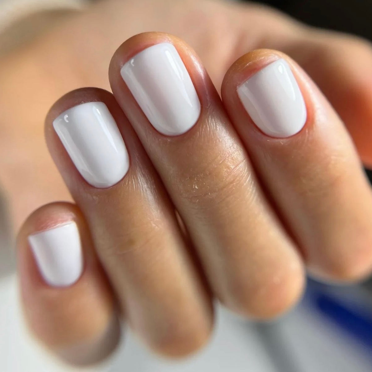 Suprême White
