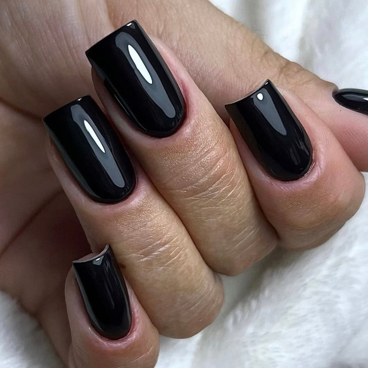 Forêt noir