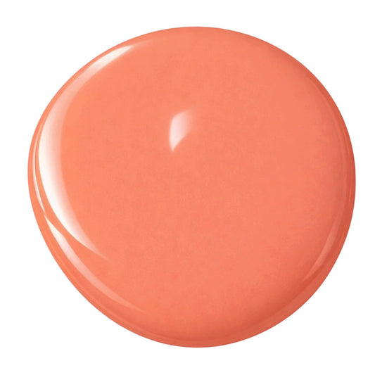 Terracota